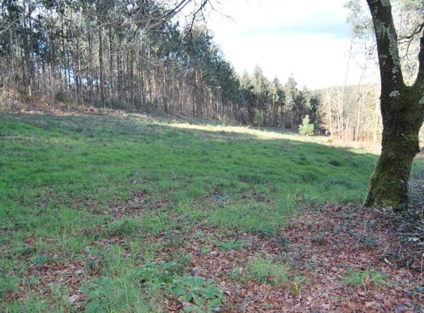 Estrada, Galicia 36680