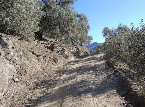 Canillas de Albaida, Málaga