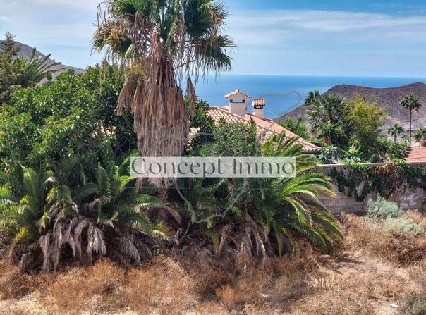 Arona, Canary Islands 38652