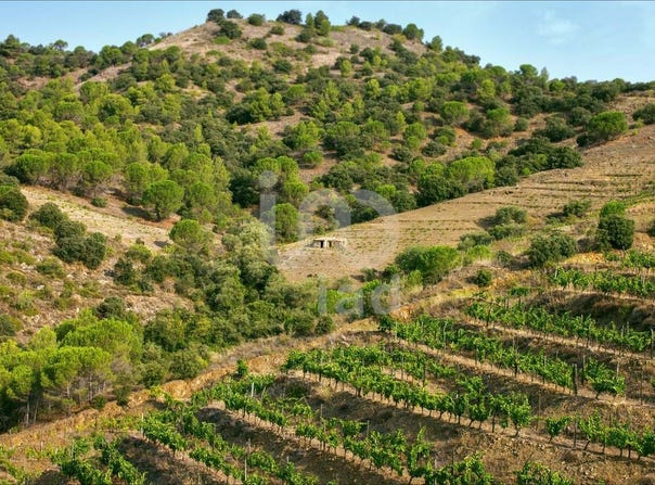 Tarragona, Catalonia 43739