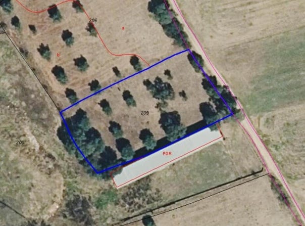 Torrico, Castile-La Mancha 45572
