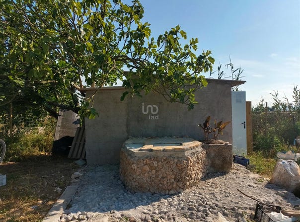 Sa Pobla, The Balearic Islands 07420