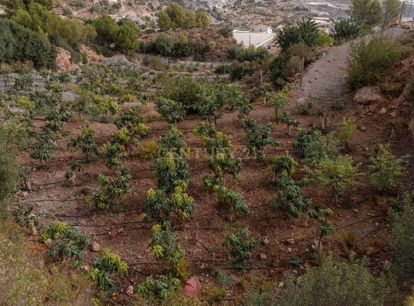 Gualchos, Andalusia