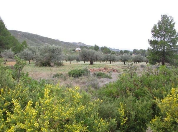 Macastre, Valencian Community