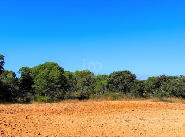 Huelva, Andalusia 21590