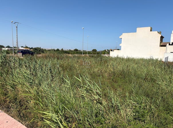 Alicante, Valencian Community 03170