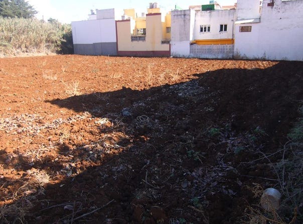 Los Llanos, Canary Islands