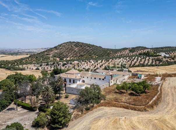 Osuna, Andalusia 41640