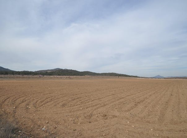 Monòver, Valencia 03640
