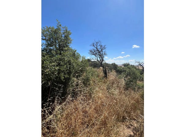 Sierra de Fuentes, Extremadura