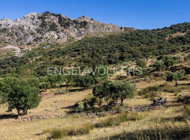 Grazalema, Andalusia 11610