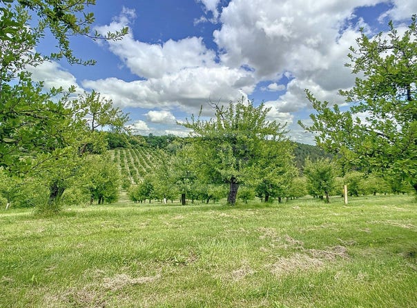 Montauban, Midi-Pyrénées 82000