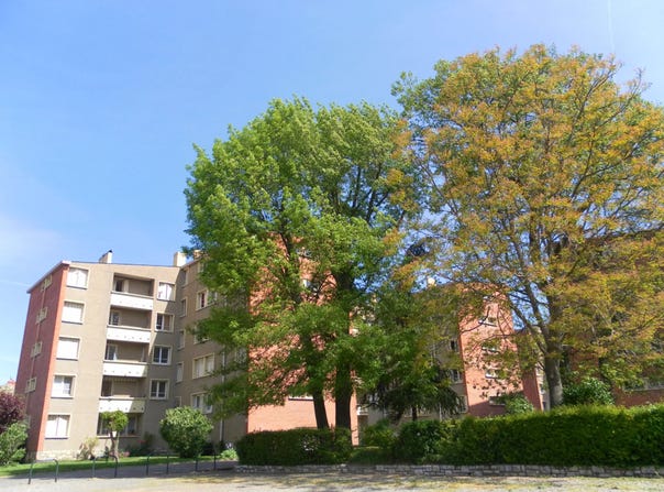 Toulouse, Haute-Garonne 31500
