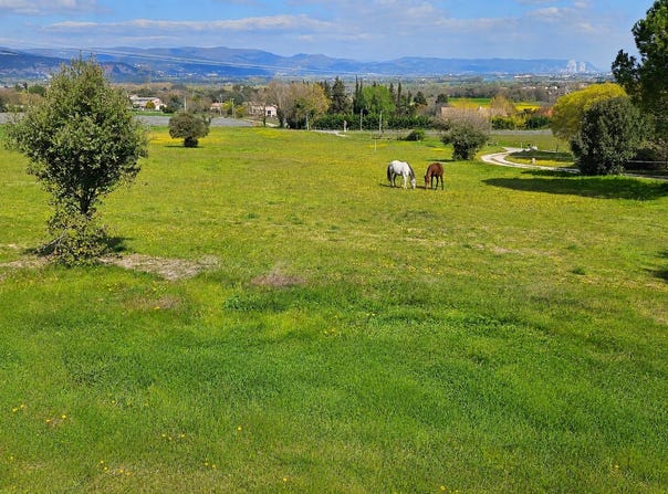 Malataverne, Auvergne-Rhône-Alpes 26780