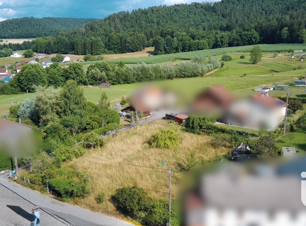 La Neuveville-devant-Lépanges, Grand Est 88600