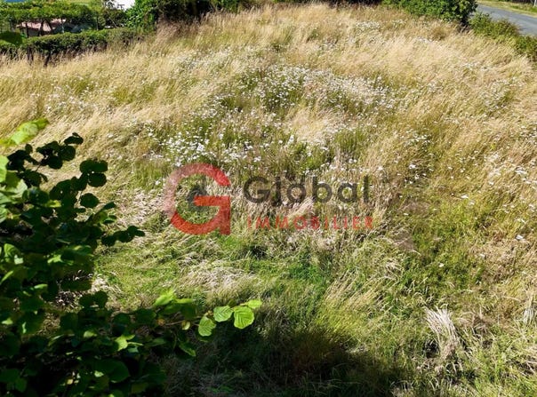 La Chapelle-Bâton, Deux-Sèvres 79220
