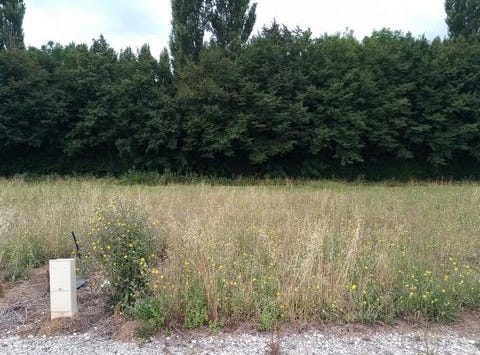 Montpellier-De-Medillan, Poitou-Charentes 17260