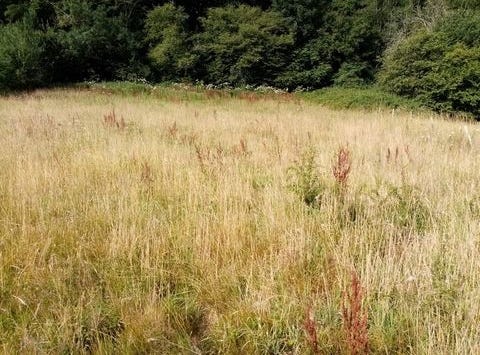HERICOURT EN CAUX, Haute-Normandie 76560