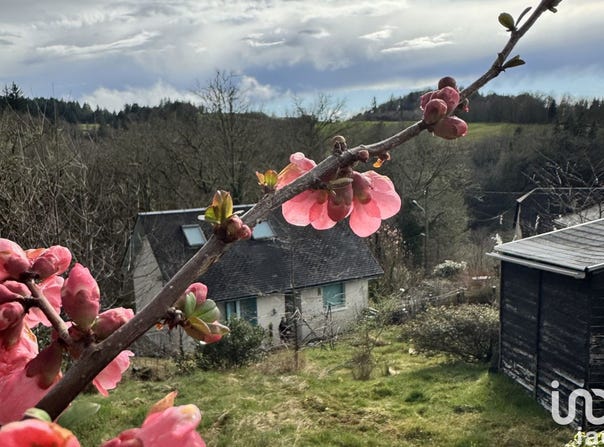 CORRÈZE, Nouvelle-Aquitaine 19800