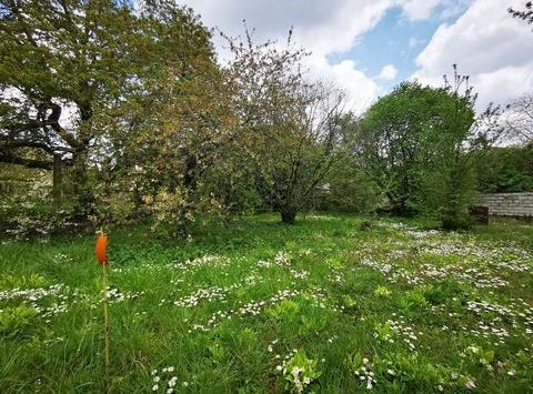 Paron, Bourgogne 89100