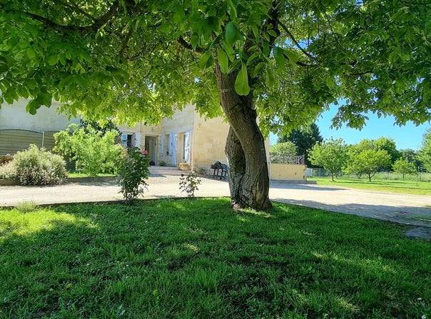 Sainte-Terre, Nouvelle-Aquitaine 33350