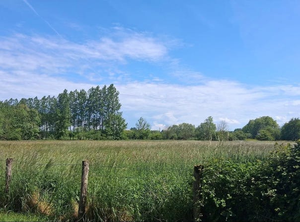 Ervy-le-Châtel, Aube 10130