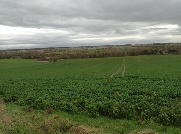 Département Indre-et-Loire, Bossée, Centre-Val de Loire 37240