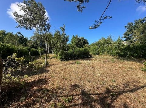 Niort, Poitou-Charentes 79000
