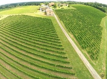 SAUVETERRE DE GUYENNE, Aquitaine 33540