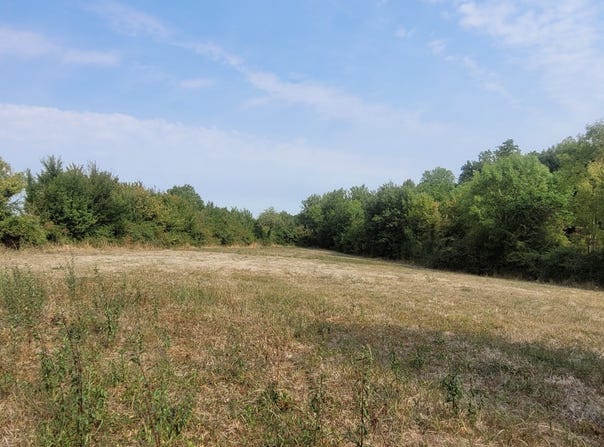 Saint-Loup-Lamairé, Nouvelle-Aquitaine 79600