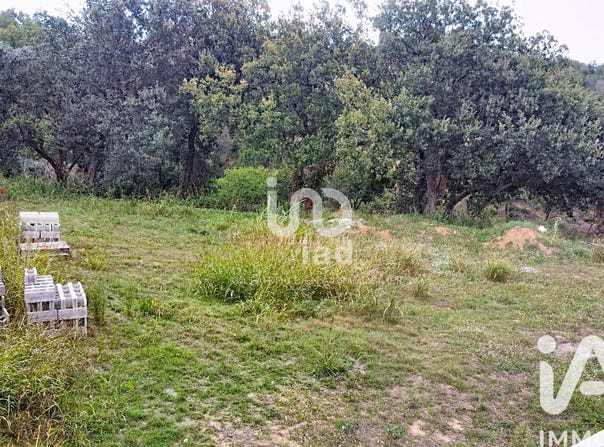 Tresserre, Occitanie 66300