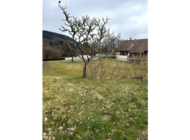 Granges-Aumontzey, Lorraine 88640