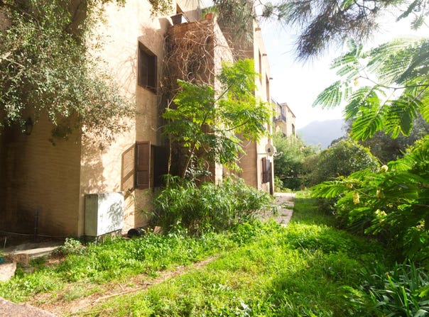 Ota, Corsica 20150