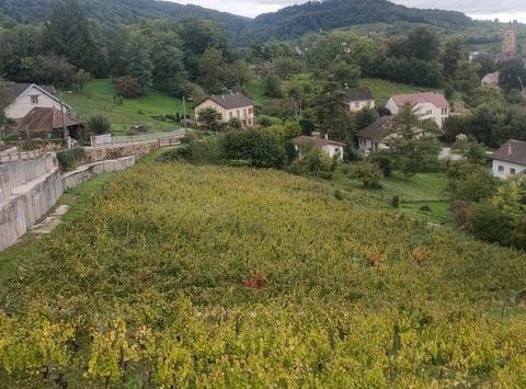 Arbois, Franche-Comté 39600