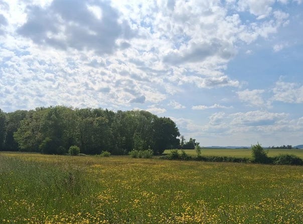 Montfey, Aube 10130