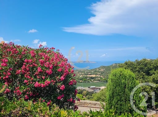 LUMIO, Corsica 20260