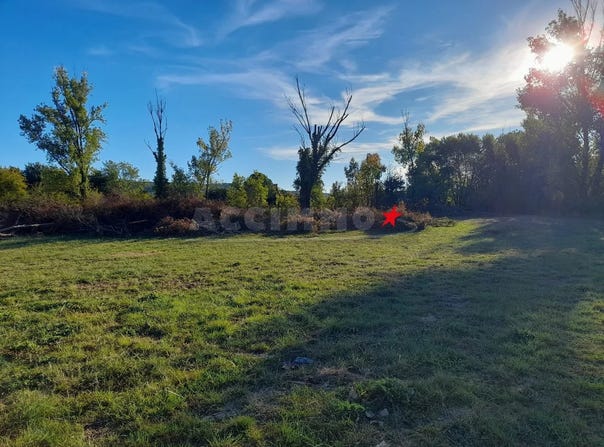 Revel, Haute-Garonne 31250