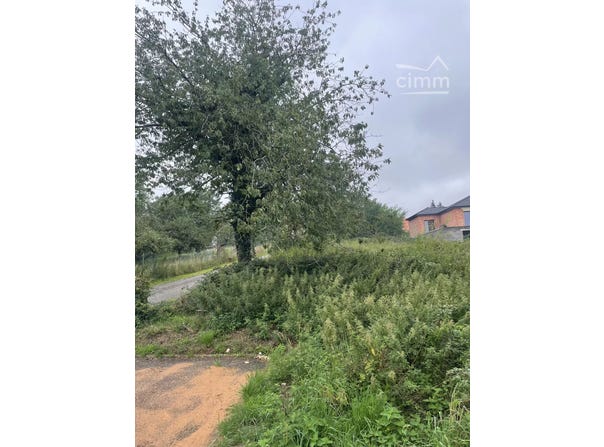 Rue Abbé Roth, Nousseviller-Saint-Nabor, Moselle 57990