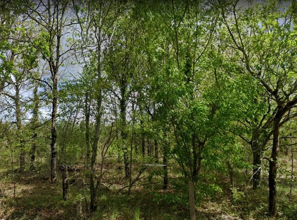 Moustey, Landes 40410