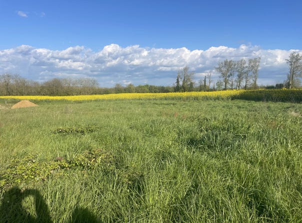 Fourques-sur-Garonne, Lot-et-Garonne 47200
