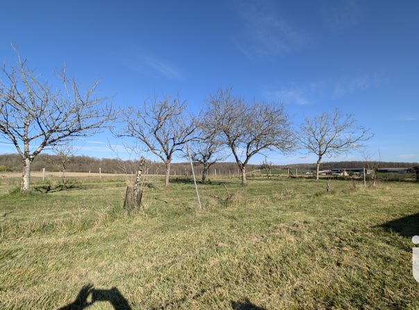 Nouzilly, Centre-Val de Loire 37380