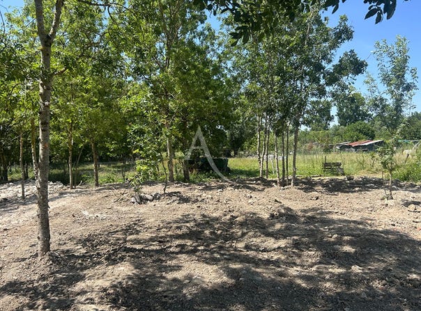 LA TAILLEE, Pays de la Loire 85450