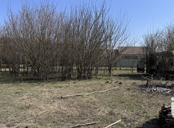 Maizières-la-Grande-Paroisse, Grand Est 10510