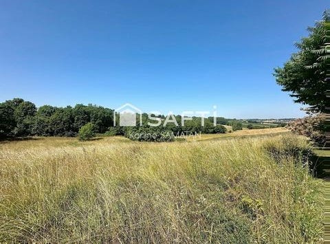 Montastruc-La-Conseillere, Midi-Pyrénées 31380