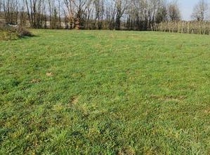 Le Douhet, Poitou-Charentes 17100