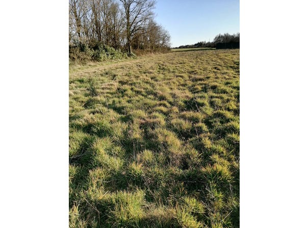 Coëx, Vendée 85220