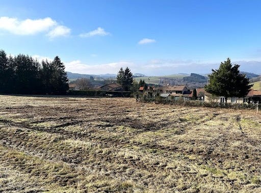 Violay, Auvergne-Rhône-Alpes 42780