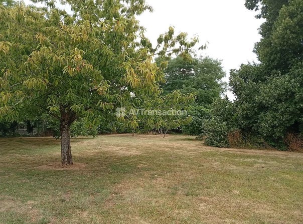Amberre, Vienne 86110