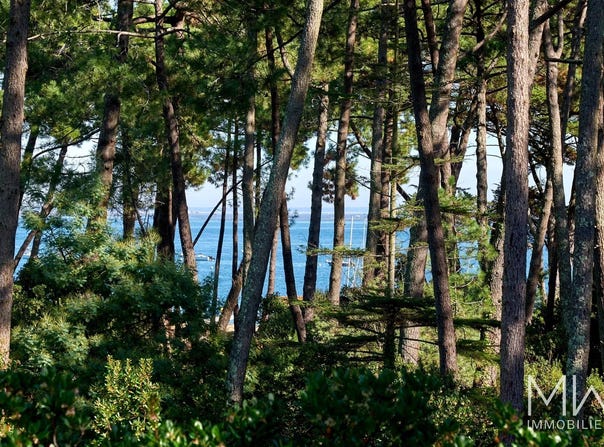 Cap-Ferret, Gironde 33950