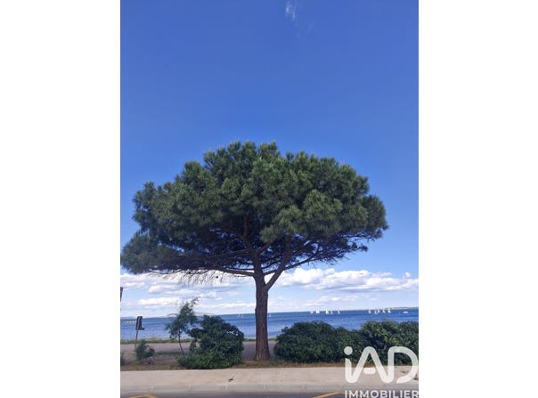 Marseillan, Occitanie 34340